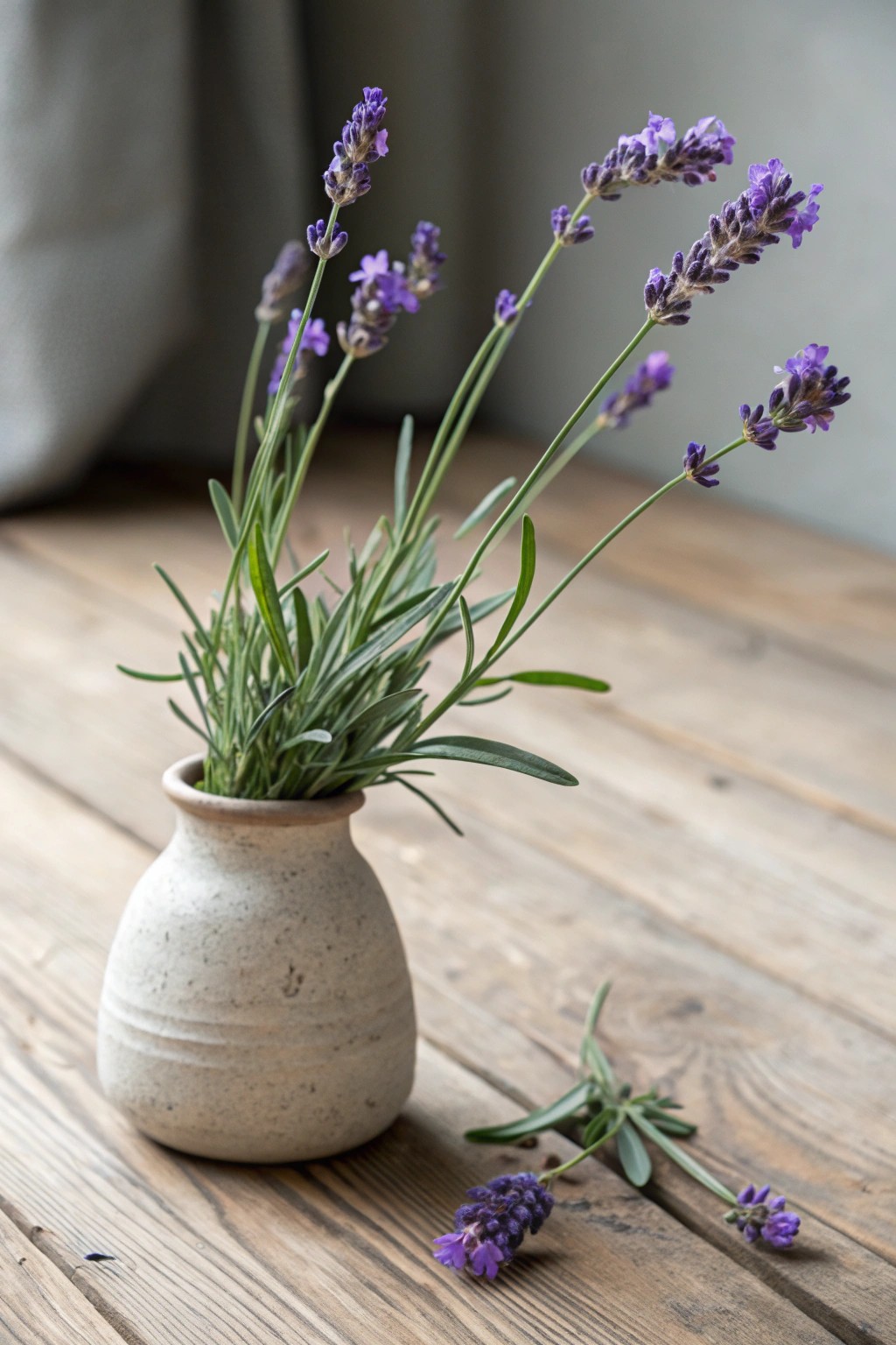 Bring scent and beauty to your front yard with a touch of lavender.