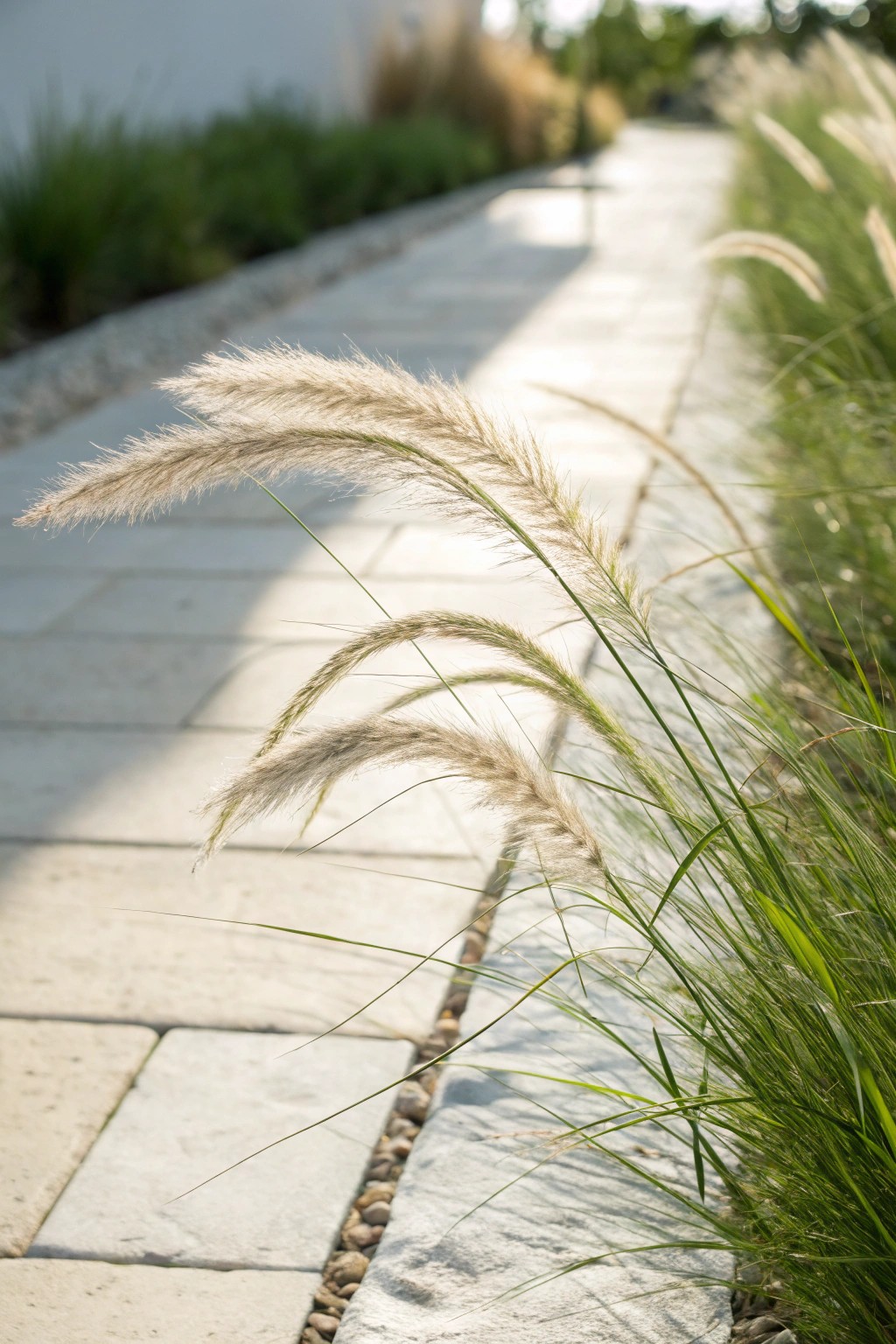Effortless elegance: Ornamental grass brings natural beauty and softness to any front yard.