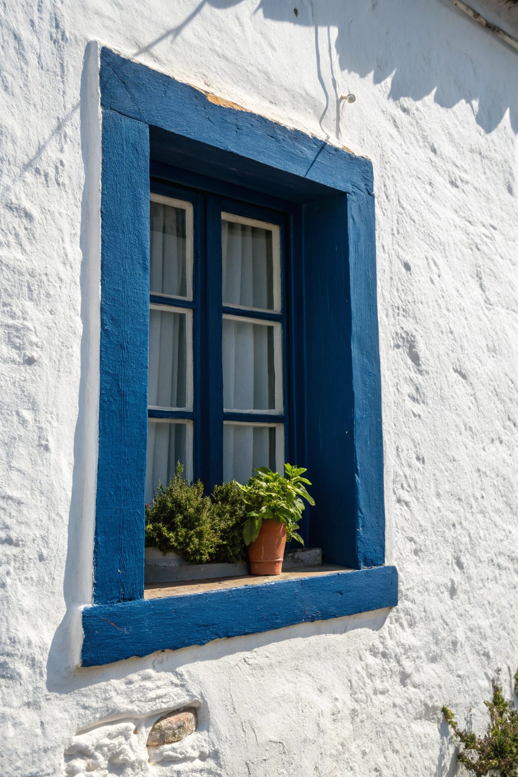 Bold navy trim on crisp white—simple, striking curb appeal.