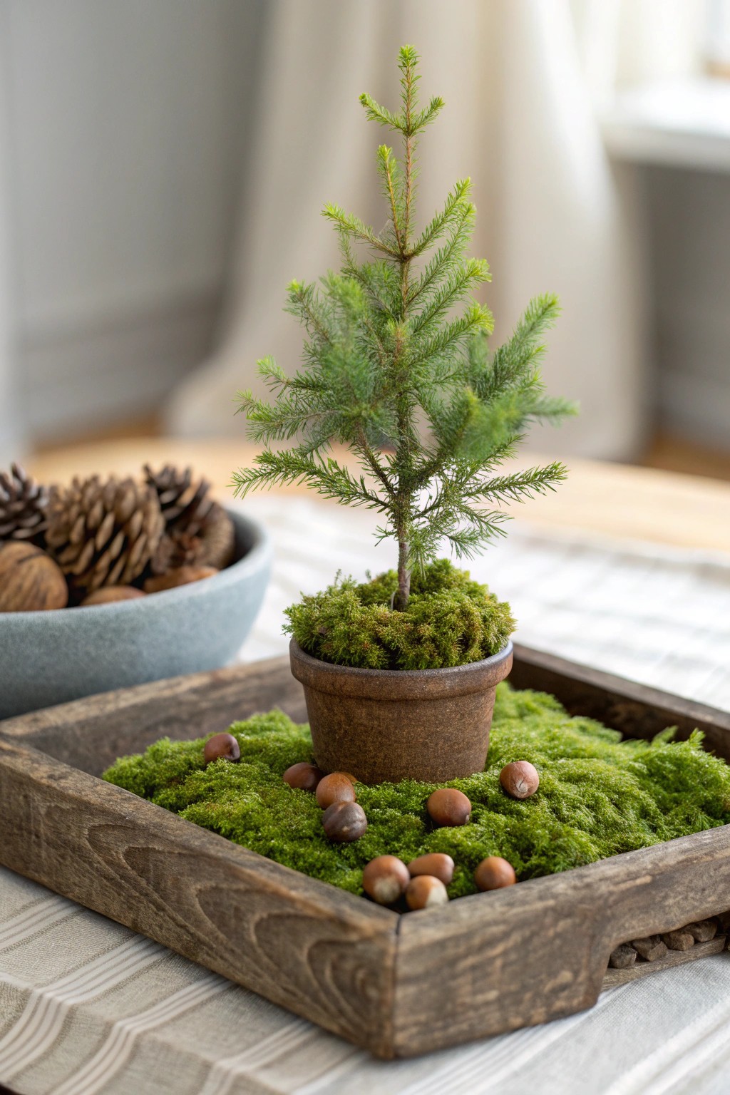 Bring the magic of the forest to your table with this woodland moss and mini tree centerpiece.