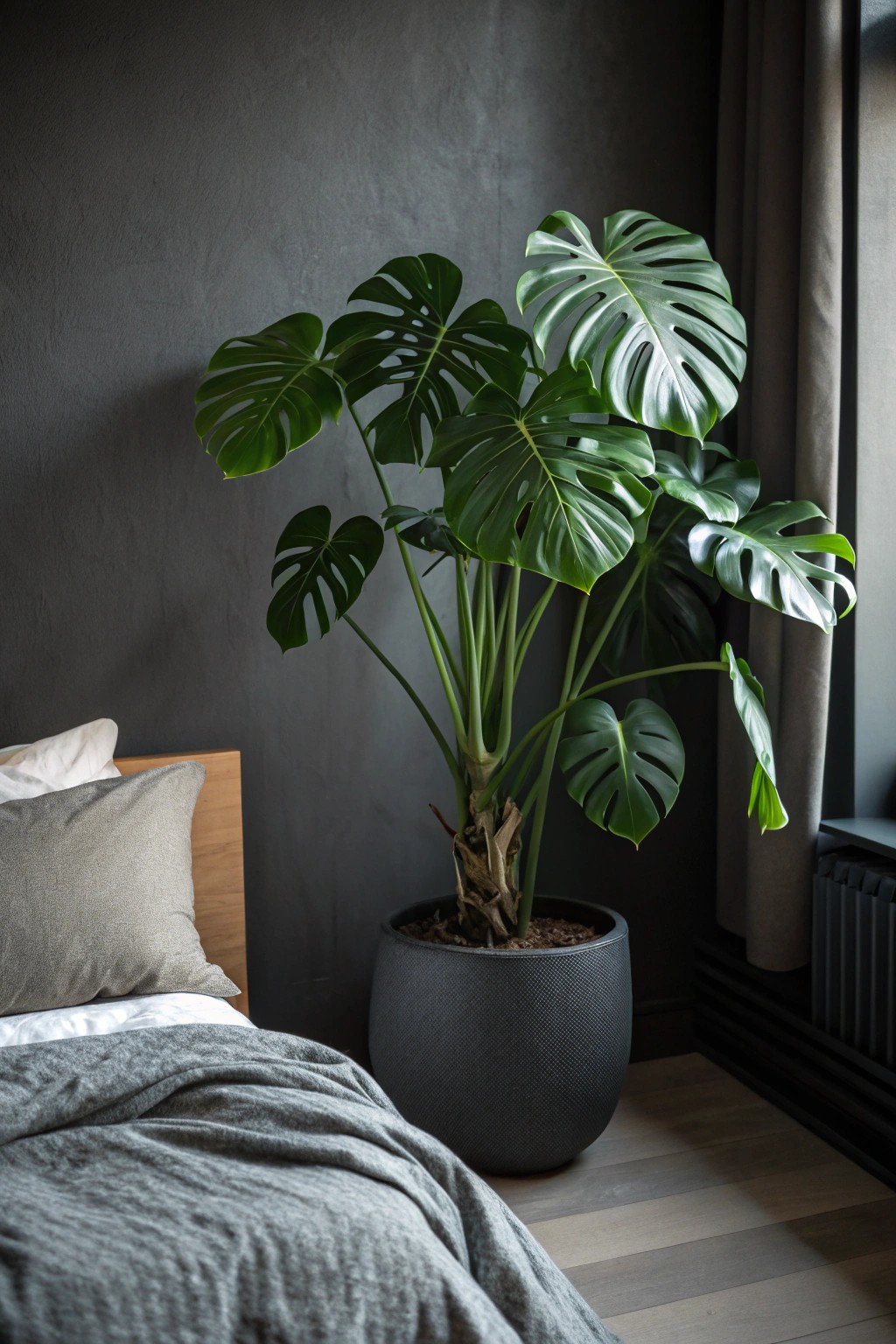 Let lush greenery breathe life into your moody bedroom sanctuary.